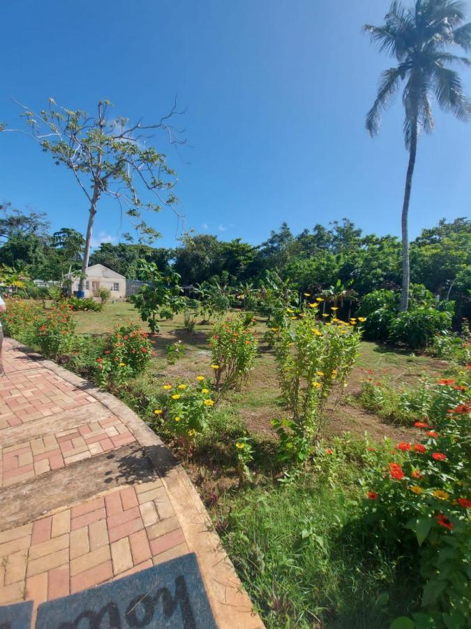 Villa Blue Lizard House San Andrés Exterior foto