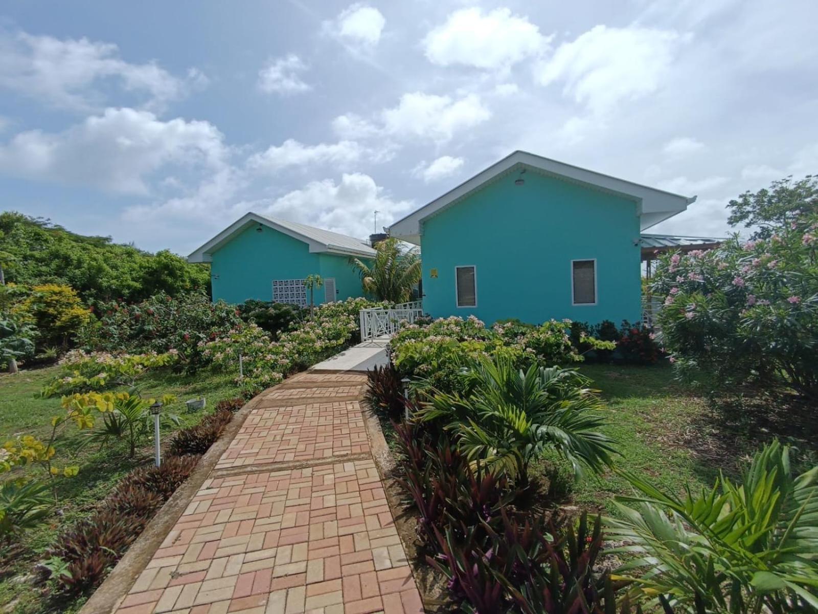 Villa Blue Lizard House San Andrés Exterior foto