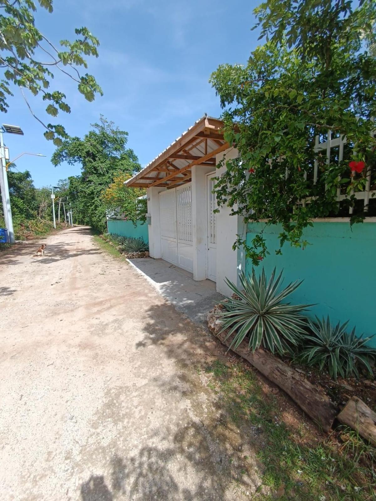 Villa Blue Lizard House San Andrés Exterior foto