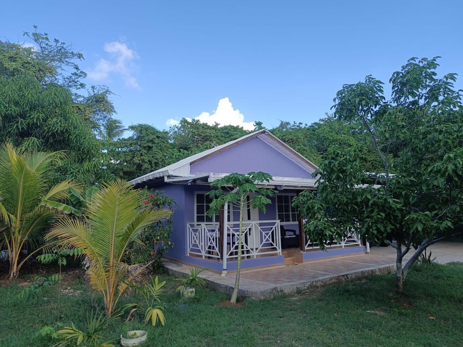 Villa Blue Lizard House San Andrés Exterior foto